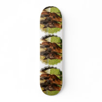Paint Horse Love  Skateboard