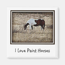 Paint Horse Magnets