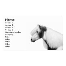 Paint Horse Profile Business Card
