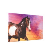 Paint Horse sunrise Stretched Canvas Print