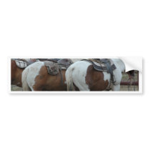 Paint Horse Tail Bumper Stickers