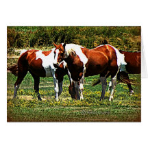 Paint Horses Cards