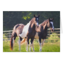 Paint Horses In Pasture Greeting Cards