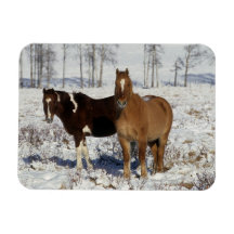 Paint Horses in the Snow Flexible Magnets