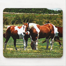 Paint Horses Mousepad