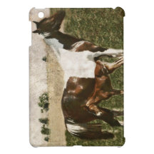 Paint Mare and Foal iPad Mini Cases
