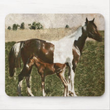 Paint Mare and Foal Mousepad