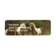 Paint Ponies Return Address Label
