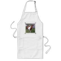Paint Pony Apron