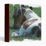 Paint Pony Binder
