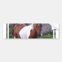 Paint Pony Bumper Sticker