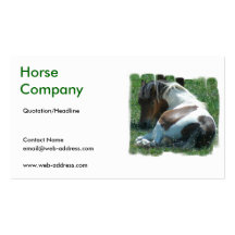 Paint Pony Business Card