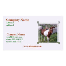 Paint Pony Business Card