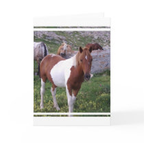 Paint Pony Greeting Card