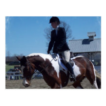 Paint Pony Horse Show Postcard
