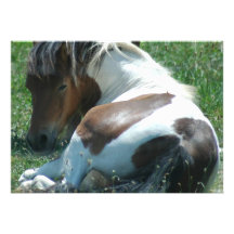 Paint Pony Invitation