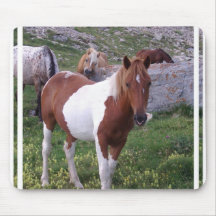 Paint Pony Mouse Pad