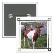 Paint Pony Square Pin