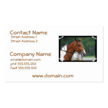 Paint Show Horse Business Cards
