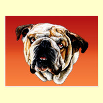 Painted Bulldog Face postcards