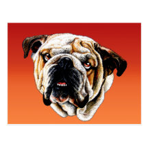 Painted Bulldog Face Postcard