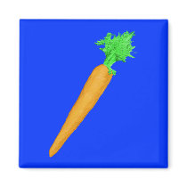 Painted Carrot