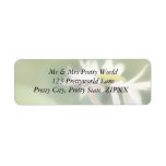 Painted Daisies In Dappled Sunlight Labels