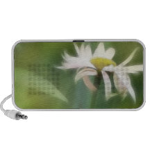Painted Daisies In Dappled Sunlight Mp3 Speakers