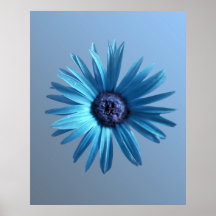 Painted Daisy Print