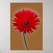 Painted Daisy Posters