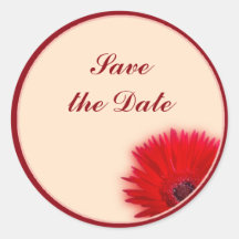 Painted Daisy Round Sticker