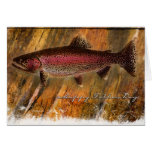 Painted Fish3-FD Cards