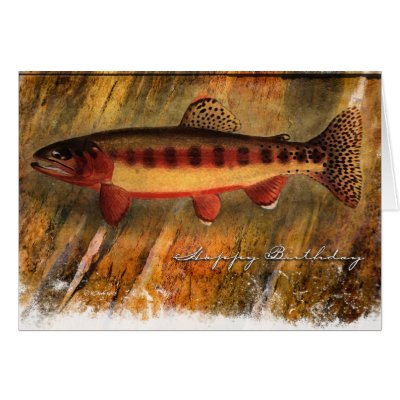 Painted Fish-BD Cards by William63