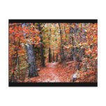 Painted Forest Autumn Trail Watercolor Gifts Postcards