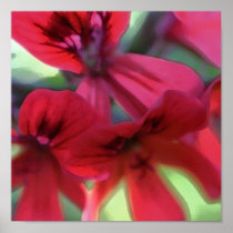 Painted Geranium Posters