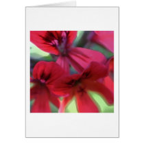 Painted Geraniums Greeting Cards