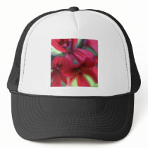 Painted Geraniums Mesh Hats