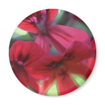 Painted Geraniums Refrigerator Magnets