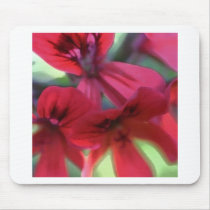 Painted Geraniums Mouse Pads