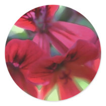 Painted Geraniums Round Sticker