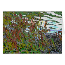 painted grasses greeting cards