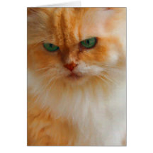 Painted green eyed cat card