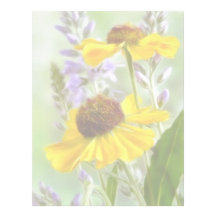 Painted Helenium Flowers Letterhead Design