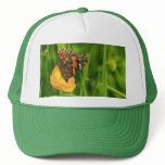 Painted Lady Butterfly Hat
