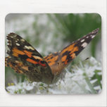 Painted Lady Butterfly Mouse Pad