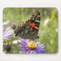 Painted Lady butterfly Mousepads