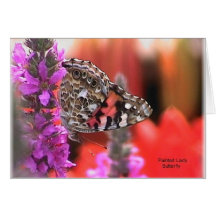 Painted Lady Card