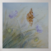 Painted Lady on Wild Flowers Poster