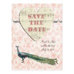 Painted Peacock Elegant Pink Damask Save the Date  Postcard