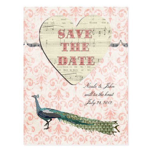 Painted Peacock Elegant Pink Damask Save the Date  Postcard